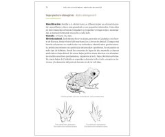 GUÍA DE LOS ANFIBIOS Y REPTILES DE ESPAÑA - TAPA DURA 5