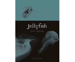 JELLYFISH. ANIMAL SERIES