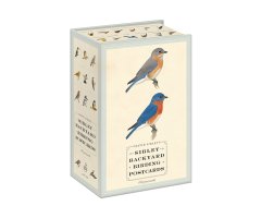 SIBLEY BACKYARD BIRDING POSTCARDS: 100 POSTCARDS