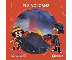 ELS VOLCANS. EL BOSC DE COLORS