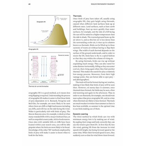 WILDLIFE PHOTOGRAPHY FIELDCRAFT 3