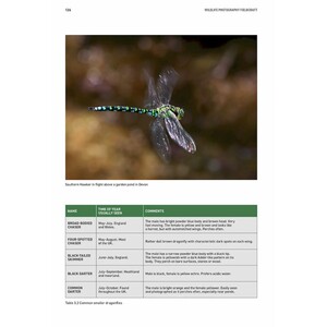 WILDLIFE PHOTOGRAPHY FIELDCRAFT 6