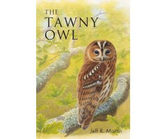 THE TAWNY OWL