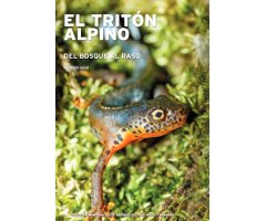 EL TRITÓN ALPINO: DEL BOSQUE AL RASO
