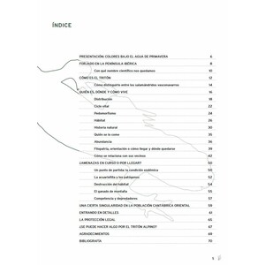 EL TRITÓN ALPINO: DEL BOSQUE AL RASO_1