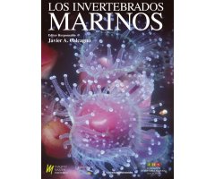 LOS INVERTEBRADOS MARINOS