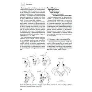 LOS INVERTEBRADOS MARINOS 5