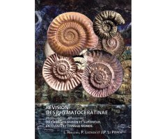 RÉVISION DES PHYMATOCERATINAE (HILDOCERATIDAE, AMMONITINA) 