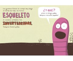 EL GUSANO. COLECCIÓN ANIMALEJOS 2