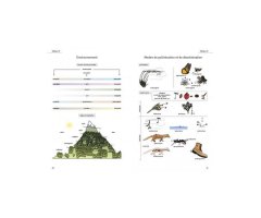 LE GLOSSAIRE ILLUSTRÉ POUR LA BOTANIQUE DE TERRAIN  3