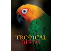 TROPICAL BIRDS