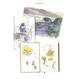 THE HEN HARRIER'S YEAR_1