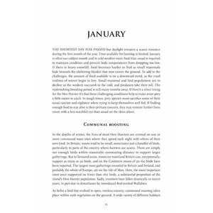 THE HEN HARRIER'S YEAR 3