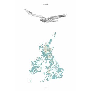THE HEN HARRIER'S YEAR 4