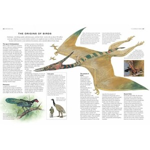 THE COMPLETE ILLUSTRATED ENCYCLOPEDIA OF BIRDS OF THE WORLD_1