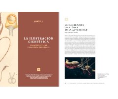 MANUAL DE ILUSTRACIÓN CIENTÍFICA 4