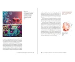 MANUAL DE ILUSTRACIÓN CIENTÍFICA 5