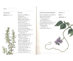 GUIA DEL JARDÍ SOBRE PLANTES MEDICINALS. REMEIS CASOLANS I PLANTES GUARIDORES DE LA A A LA Z 2