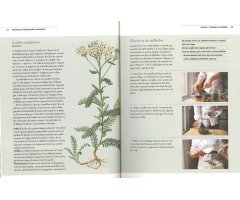 GUIA DEL JARDÍ SOBRE PLANTES MEDICINALS. REMEIS CASOLANS I PLANTES GUARIDORES DE LA A A LA Z 3