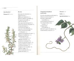 GUÍA DEL JARDÍN SOBRE PLANTAS MEDICINALES. REMEDIOS CASEROS Y PLANTAS CURATIVAS DE LA A A LA Z 2