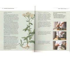 GUÍA DEL JARDÍN SOBRE PLANTAS MEDICINALES. REMEDIOS CASEROS Y PLANTAS CURATIVAS DE LA A A LA Z 4