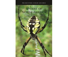 PRINCETON FIELD GUIDE SPIDERS OF NORTH AMERICA
