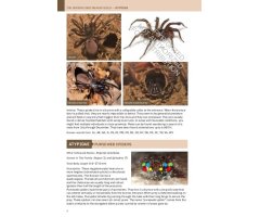 PRINCETON FIELD GUIDE SPIDERS OF NORTH AMERICA 2