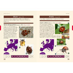 LADYBIRDS OF EUROPE_1