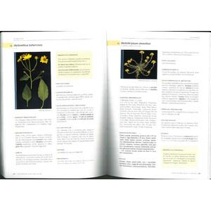 FLORA MEDICINAL DE LES ILLES BALEARS_1