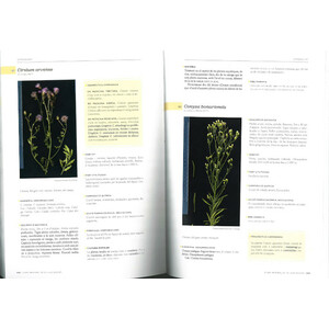 FLORA MEDICINAL DE LES ILLES BALEARS 3