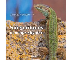 SARGANTANES EL TEMPS S'ACABA