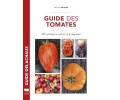 GUIDE DES TOMATES