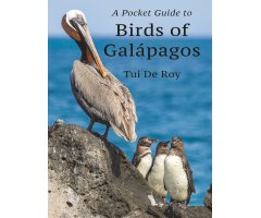 A POCKET GUIDE TO BIRDS OF GALÁPAGOS