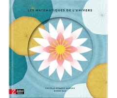 LES MATEMÀTIQUES DE L\'UNIVERS