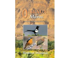 OISEAUX DU MAROC - BIRDS OF MOROCCO