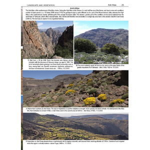 ILLUSTRATED FLORA OF MOROCCO_1