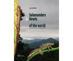 SALAMANDERS & NEWTS OF THE WORLD
