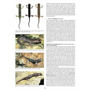 SALAMANDERS & NEWTS OF THE WORLD 6