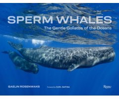 SPERM WHALES. THE GENTLE GOLIATHS OF THE OCEANS