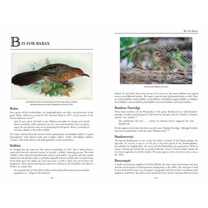 THE BIRD NAME BOOK 4