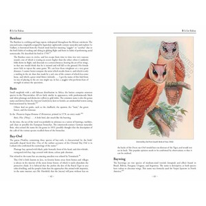 THE BIRD NAME BOOK 5