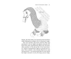 DINOPEDIA. A BRIEF COMPENDIUM OF DINOSAUR LORE 3