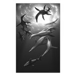 LOCKED IN TIME. ANIMAL BEHAVIOR UNEARTHED IN 50 EXTRAORDINARY FOSSILS 3