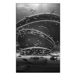 LOCKED IN TIME. ANIMAL BEHAVIOR UNEARTHED IN 50 EXTRAORDINARY FOSSILS 4