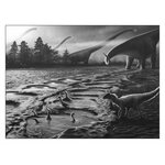 LOCKED IN TIME. ANIMAL BEHAVIOR UNEARTHED IN 50 EXTRAORDINARY FOSSILS 5