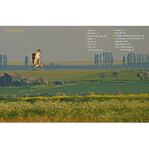 SHORT-EARED OWLS. AN EXTENSIVE STUDY OF SHORT-EARED OWLS IN BRITAIN_1