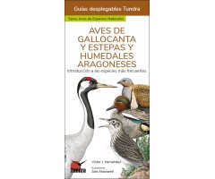 AVES DE GALLOCANTA Y ESTEPAS Y HUMEDALES ARAGONESES. INTRODUCCIÓN A LAS ESPECIES MÁS FRECUENTES. GUÍAS DESPLEGABLES TUNDRA