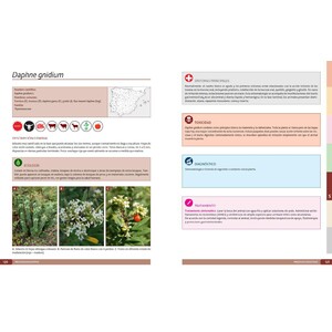 PLANTAS TÓXICAS PARA RUMIANTES_1