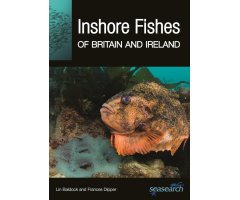 INSHORE FISHES OF BRITAIN AND IRELAND