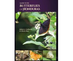 GUIDE TO THE BUTTERFLIES OF HONDURAS